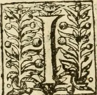 An illustration from De Novo orbe, or, the historie of the West Indies : contayning the actes and adventures of the Spanyardes, which have conquered and peopled those countries, inriched with varietie of pleasant relation of the manners, ceremonies, lawes, gouernments, and warres of the Indians (1612)