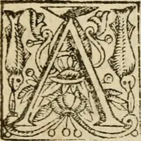 An illustration from De Novo orbe, or, the historie of the West Indies : contayning the actes and adventures of the Spanyardes, which have conquered and peopled those countries, inriched with varietie of pleasant relation of the manners, ceremonies, lawes, gouernments, and warres of the Indians (1612)