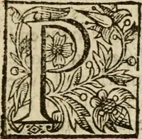 An illustration from De Novo orbe, or, the historie of the West Indies : contayning the actes and adventures of the Spanyardes, which have conquered and peopled those countries, inriched with varietie of pleasant relation of the manners, ceremonies, lawes, gouernments, and warres of the Indians (1612)