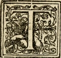 An illustration from De Novo orbe, or, the historie of the West Indies : contayning the actes and adventures of the Spanyardes, which have conquered and peopled those countries, inriched with varietie of pleasant relation of the manners, ceremonies, lawes, gouernments, and warres of the Indians (1612)