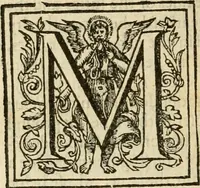 An illustration from De Novo orbe, or, the historie of the West Indies : contayning the actes and adventures of the Spanyardes, which have conquered and peopled those countries, inriched with varietie of pleasant relation of the manners, ceremonies, lawes, gouernments, and warres of the Indians (1612)