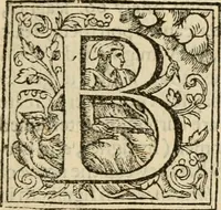 An illustration from De Novo orbe, or, the historie of the West Indies : contayning the actes and adventures of the Spanyardes, which have conquered and peopled those countries, inriched with varietie of pleasant relation of the manners, ceremonies, lawes, gouernments, and warres of the Indians (1612)