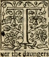 An illustration from De Novo orbe, or, the historie of the West Indies : contayning the actes and adventures of the Spanyardes, which have conquered and peopled those countries, inriched with varietie of pleasant relation of the manners, ceremonies, lawes, gouernments, and warres of the Indians (1612)