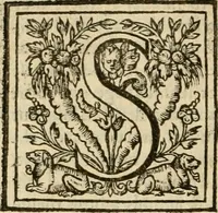 An illustration from De Novo orbe, or, the historie of the West Indies : contayning the actes and adventures of the Spanyardes, which have conquered and peopled those countries, inriched with varietie of pleasant relation of the manners, ceremonies, lawes, gouernments, and warres of the Indians (1612)