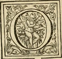 An illustration from De Novo orbe, or, the historie of the West Indies : contayning the actes and adventures of the Spanyardes, which have conquered and peopled those countries, inriched with varietie of pleasant relation of the manners, ceremonies, lawes, gouernments, and warres of the Indians (1612)