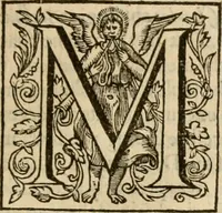 Picture 37 of 72 from De Novo orbe, or, the historie of the West Indies : contayning the actes and adventures of the Spanyardes, which have conquered and peopled those countries, inriched with varietie of pleasant relation of the manners, ceremonies, lawes, gouernments, and warres of the Indians (1612), leaf 350
