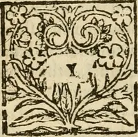 An illustration from De Novo orbe, or, the historie of the West Indies : contayning the actes and adventures of the Spanyardes, which have conquered and peopled those countries, inriched with varietie of pleasant relation of the manners, ceremonies, lawes, gouernments, and warres of the Indians (1612)