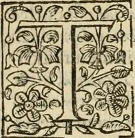 An illustration from De Novo orbe, or, the historie of the West Indies : contayning the actes and adventures of the Spanyardes, which have conquered and peopled those countries, inriched with varietie of pleasant relation of the manners, ceremonies, lawes, gouernments, and warres of the Indians (1612)