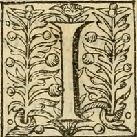 An illustration from De Novo orbe, or, the historie of the West Indies : contayning the actes and adventures of the Spanyardes, which have conquered and peopled those countries, inriched with varietie of pleasant relation of the manners, ceremonies, lawes, gouernments, and warres of the Indians (1612)