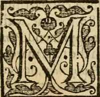 An illustration from De Novo orbe, or, the historie of the West Indies : contayning the actes and adventures of the Spanyardes, which have conquered and peopled those countries, inriched with varietie of pleasant relation of the manners, ceremonies, lawes, gouernments, and warres of the Indians (1612)