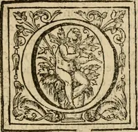 An illustration from De Novo orbe, or, the historie of the West Indies : contayning the actes and adventures of the Spanyardes, which have conquered and peopled those countries, inriched with varietie of pleasant relation of the manners, ceremonies, lawes, gouernments, and warres of the Indians (1612)