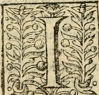 An illustration from De Novo orbe, or, the historie of the West Indies : contayning the actes and adventures of the Spanyardes, which have conquered and peopled those countries, inriched with varietie of pleasant relation of the manners, ceremonies, lawes, gouernments, and warres of the Indians (1612)