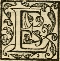 An illustration from De Novo orbe, or, the historie of the West Indies : contayning the actes and adventures of the Spanyardes, which have conquered and peopled those countries, inriched with varietie of pleasant relation of the manners, ceremonies, lawes, gouernments, and warres of the Indians (1612)