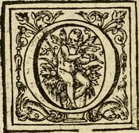 An illustration from De Novo orbe, or, the historie of the West Indies : contayning the actes and adventures of the Spanyardes, which have conquered and peopled those countries, inriched with varietie of pleasant relation of the manners, ceremonies, lawes, gouernments, and warres of the Indians (1612)