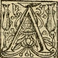 An illustration from De Novo orbe, or, the historie of the West Indies : contayning the actes and adventures of the Spanyardes, which have conquered and peopled those countries, inriched with varietie of pleasant relation of the manners, ceremonies, lawes, gouernments, and warres of the Indians (1612)