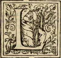 An illustration from De Novo orbe, or, the historie of the West Indies : contayning the actes and adventures of the Spanyardes, which have conquered and peopled those countries, inriched with varietie of pleasant relation of the manners, ceremonies, lawes, gouernments, and warres of the Indians (1612)