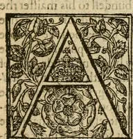 An illustration from De Novo orbe, or, the historie of the West Indies : contayning the actes and adventures of the Spanyardes, which have conquered and peopled those countries, inriched with varietie of pleasant relation of the manners, ceremonies, lawes, gouernments, and warres of the Indians (1612)