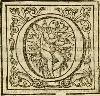Picture 56 of 72 from De Novo orbe, or, the historie of the West Indies : contayning the actes and adventures of the Spanyardes, which have conquered and peopled those countries, inriched with varietie of pleasant relation of the manners, ceremonies, lawes, gouernments, and warres of the Indians (1612), leaf 501