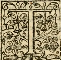 An illustration from De Novo orbe, or, the historie of the West Indies : contayning the actes and adventures of the Spanyardes, which have conquered and peopled those countries, inriched with varietie of pleasant relation of the manners, ceremonies, lawes, gouernments, and warres of the Indians (1612)