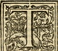 An illustration from De Novo orbe, or, the historie of the West Indies : contayning the actes and adventures of the Spanyardes, which have conquered and peopled those countries, inriched with varietie of pleasant relation of the manners, ceremonies, lawes, gouernments, and warres of the Indians (1612)
