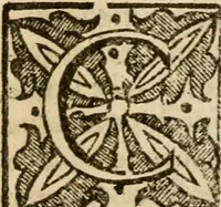 An illustration from De Novo orbe, or, the historie of the West Indies : contayning the actes and adventures of the Spanyardes, which have conquered and peopled those countries, inriched with varietie of pleasant relation of the manners, ceremonies, lawes, gouernments, and warres of the Indians (1612)