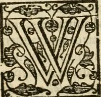 An illustration from De Novo orbe, or, the historie of the West Indies : contayning the actes and adventures of the Spanyardes, which have conquered and peopled those countries, inriched with varietie of pleasant relation of the manners, ceremonies, lawes, gouernments, and warres of the Indians (1612)