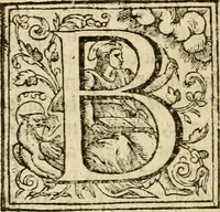 An illustration from De Novo orbe, or, the historie of the West Indies : contayning the actes and adventures of the Spanyardes, which have conquered and peopled those countries, inriched with varietie of pleasant relation of the manners, ceremonies, lawes, gouernments, and warres of the Indians (1612)