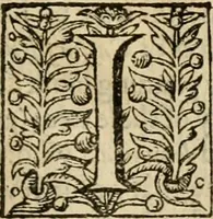 An illustration from De Novo orbe, or, the historie of the West Indies : contayning the actes and adventures of the Spanyardes, which have conquered and peopled those countries, inriched with varietie of pleasant relation of the manners, ceremonies, lawes, gouernments, and warres of the Indians (1612)