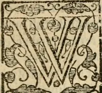 An illustration from De Novo orbe, or, the historie of the West Indies : contayning the actes and adventures of the Spanyardes, which have conquered and peopled those countries, inriched with varietie of pleasant relation of the manners, ceremonies, lawes, gouernments, and warres of the Indians (1612)