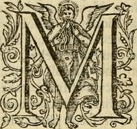 Picture 65 of 72 from De Novo orbe, or, the historie of the West Indies : contayning the actes and adventures of the Spanyardes, which have conquered and peopled those countries, inriched with varietie of pleasant relation of the manners, ceremonies, lawes, gouernments, and warres of the Indians (1612), leaf 565