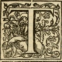 An illustration from De Novo orbe, or, the historie of the West Indies : contayning the actes and adventures of the Spanyardes, which have conquered and peopled those countries, inriched with varietie of pleasant relation of the manners, ceremonies, lawes, gouernments, and warres of the Indians (1612)