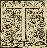 An illustration from De Novo orbe, or, the historie of the West Indies : contayning the actes and adventures of the Spanyardes, which have conquered and peopled those countries, inriched with varietie of pleasant relation of the manners, ceremonies, lawes, gouernments, and warres of the Indians (1612)