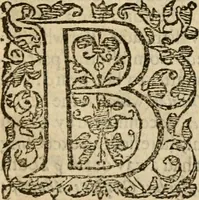 An illustration from De Novo orbe, or, the historie of the West Indies : contayning the actes and adventures of the Spanyardes, which have conquered and peopled those countries, inriched with varietie of pleasant relation of the manners, ceremonies, lawes, gouernments, and warres of the Indians (1612)