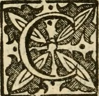 An illustration from De Novo orbe, or, the historie of the West Indies : contayning the actes and adventures of the Spanyardes, which have conquered and peopled those countries, inriched with varietie of pleasant relation of the manners, ceremonies, lawes, gouernments, and warres of the Indians (1612)
