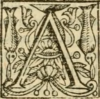 An illustration from De Novo orbe, or, the historie of the West Indies : contayning the actes and adventures of the Spanyardes, which have conquered and peopled those countries, inriched with varietie of pleasant relation of the manners, ceremonies, lawes, gouernments, and warres of the Indians (1612)