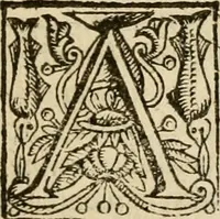 Picture 7 of 72 from De Novo orbe, or, the historie of the West Indies : contayning the actes and adventures of the Spanyardes, which have conquered and peopled those countries, inriched with varietie of pleasant relation of the manners, ceremonies, lawes, gouernments, and warres of the Indians (1612), leaf 60