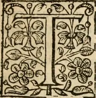 An illustration from De Novo orbe, or, the historie of the West Indies : contayning the actes and adventures of the Spanyardes, which have conquered and peopled those countries, inriched with varietie of pleasant relation of the manners, ceremonies, lawes, gouernments, and warres of the Indians (1612)