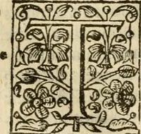 An illustration from De Novo orbe, or, the historie of the West Indies : contayning the actes and adventures of the Spanyardes, which have conquered and peopled those countries, inriched with varietie of pleasant relation of the manners, ceremonies, lawes, gouernments, and warres of the Indians (1612)