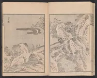 An illustration from Denshin kaishu Hokusai manga (1828)