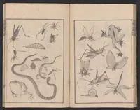 An illustration from Denshin kaishu Hokusai manga (1780)