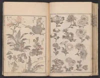 An illustration from Denshin kaishu Hokusai manga (1780)