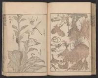 An illustration from Denshin kaishu Hokusai manga (1780)