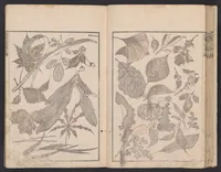 An illustration from Denshin kaishu Hokusai manga (1780)