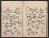 An illustration from Denshin kaishu Hokusai manga (1780)