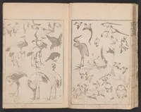 An illustration from Denshin kaishu Hokusai manga (1780)