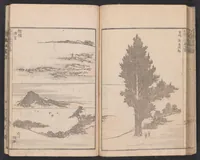 An illustration from Denshin kaishu Hokusai manga (1780)