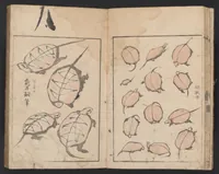 An illustration from [Denshin kaishu Ippitsu gafu] (1823)