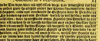 An illustration from Den spiegel der Spaensche tyrannye, gheschiet in West-Indien. : VVaer in te sien is de onmenschelijcke wreede feyten der Spangiaerden ... (1620)
