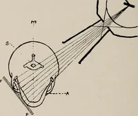An illustration from Dental and oral radiography : a text book for students and practitioners of dentistry (1916)