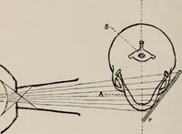 An illustration from Dental and oral radiography : a text book for students and practitioners of dentistry (1916)